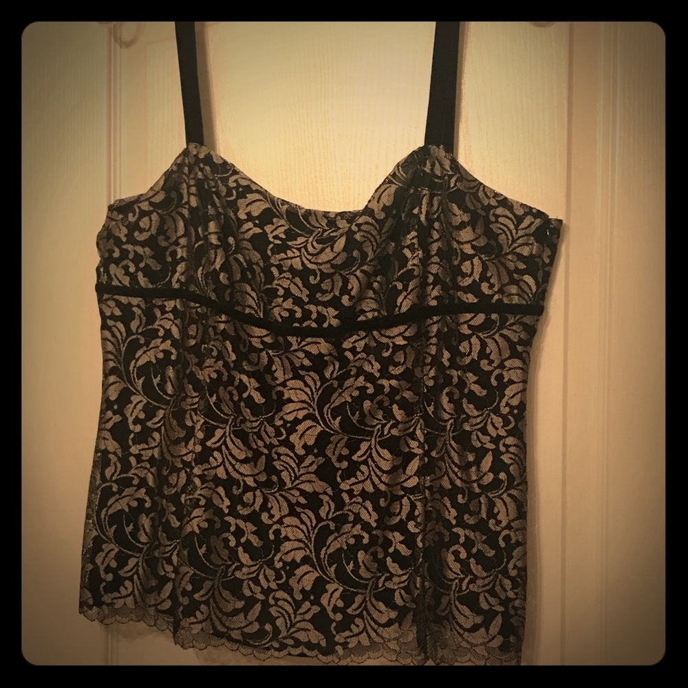 Ann Taylor Loft Evening
